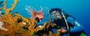 TOURISTS IN Diving and snorkeling at Mun Island - TL407